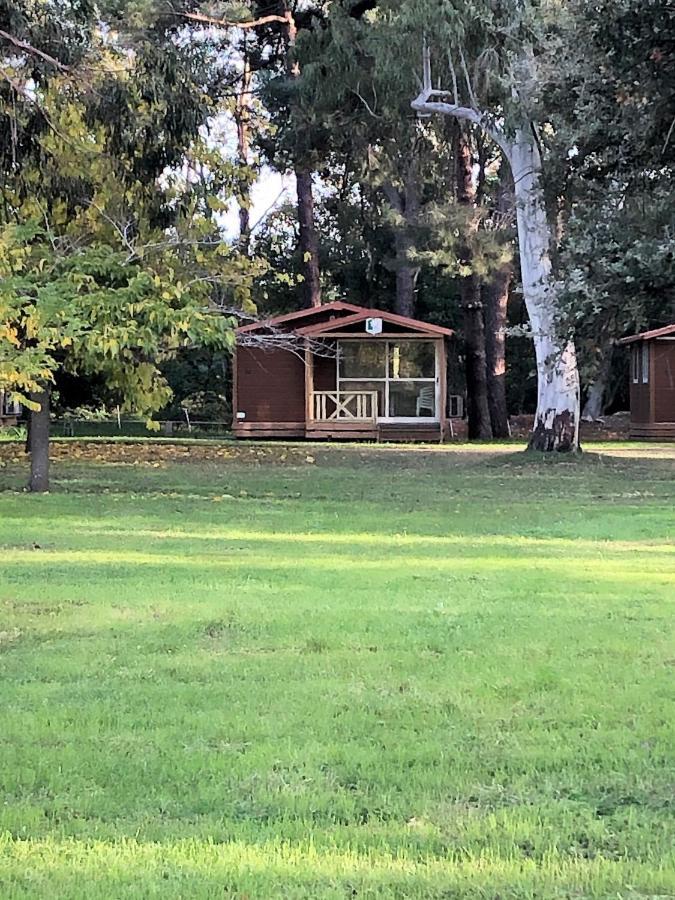 Camping L'Oso Porto-Vecchio  Exteriör bild