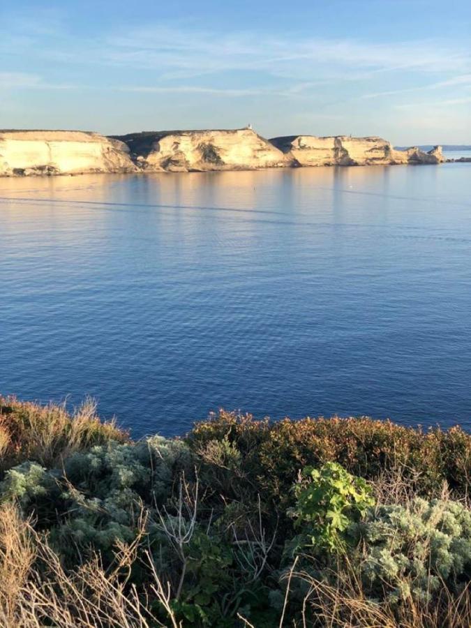 Camping L'Oso Porto-Vecchio  Exteriör bild