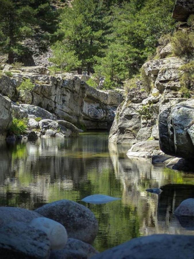 Camping L'Oso Porto-Vecchio  Exteriör bild