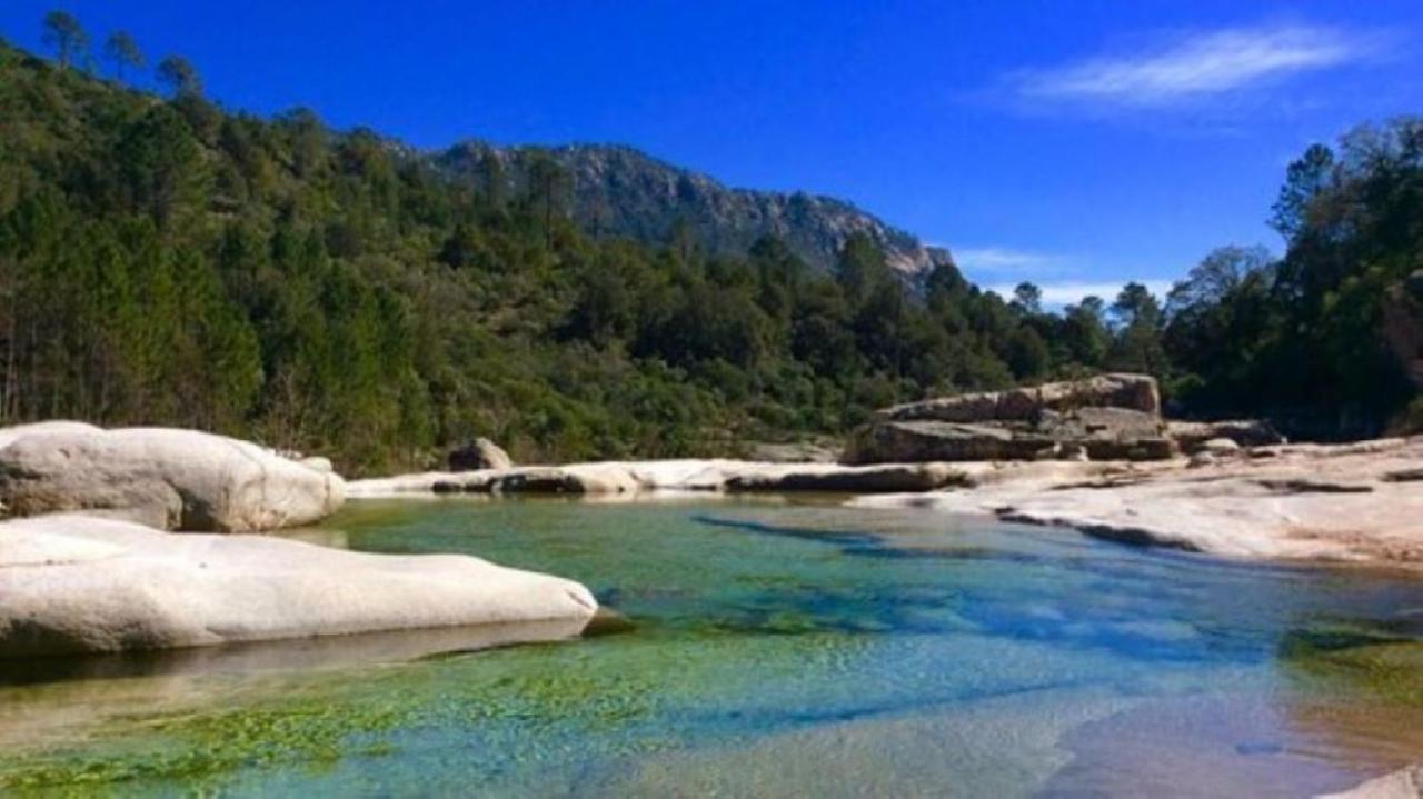 Camping L'Oso Porto-Vecchio  Exteriör bild