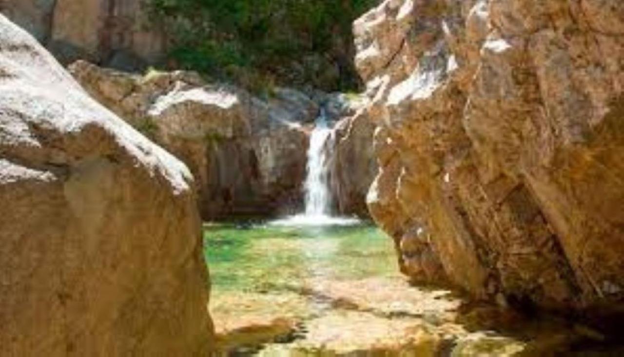 Camping L'Oso Porto-Vecchio  Exteriör bild